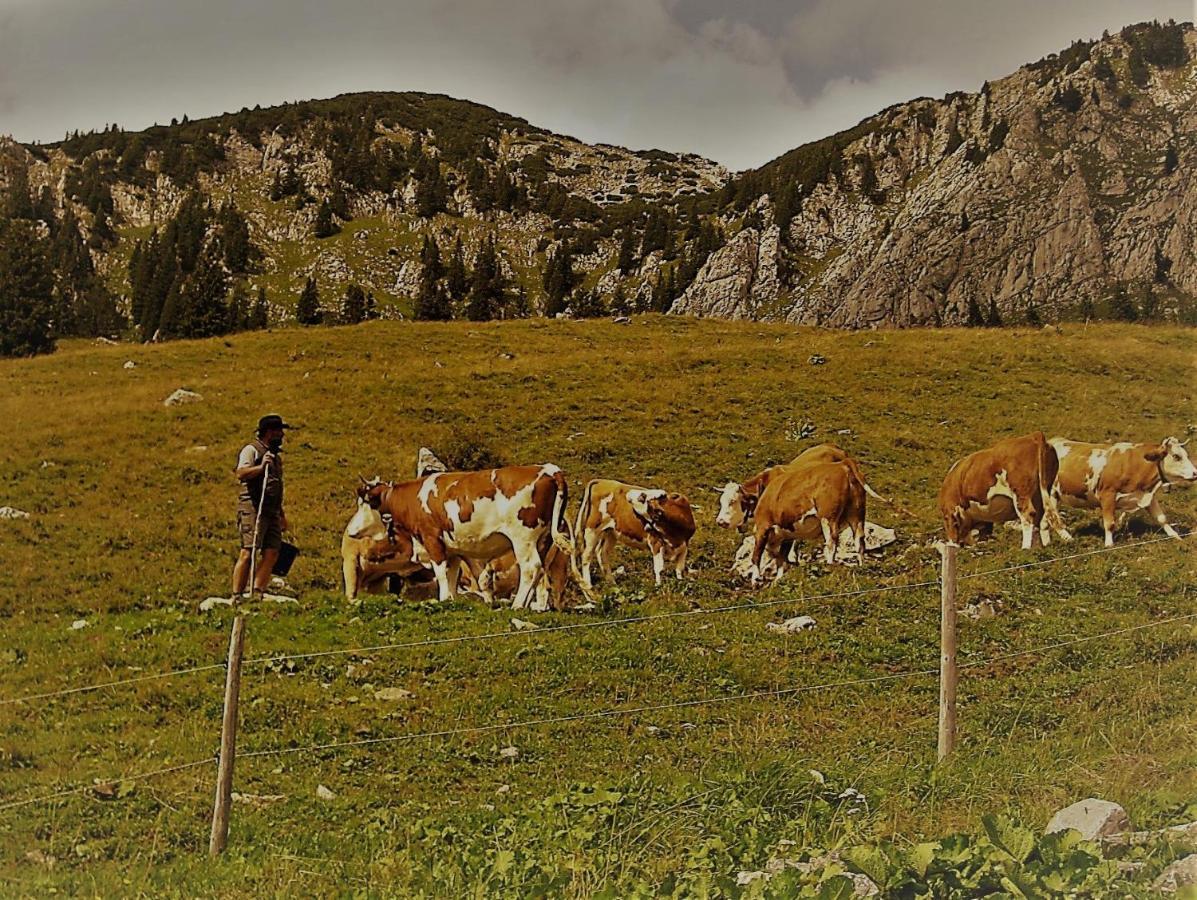 Landhotel Zum Staffelwirt Jachenau Esterno foto